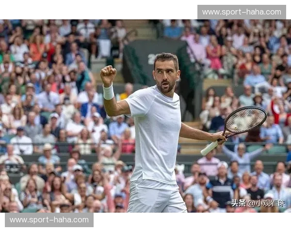 温网ACE统计：揭秘网球赛场的致命武器